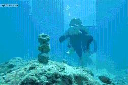 海滩宾馆逃生
